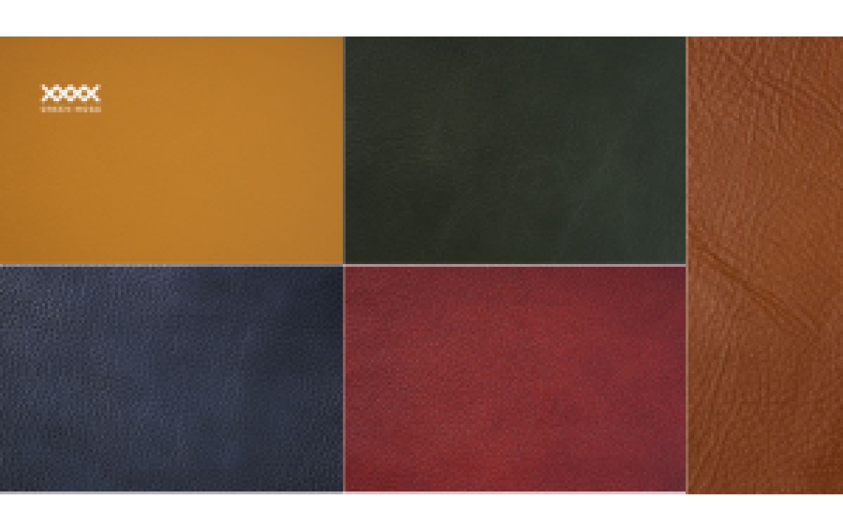 Guidelines for Choosing Sofa Leather Colors Based on the Five Elements