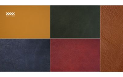 Guidelines for Choosing Sofa Leather Colors Based on the Five Elements