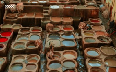 Wet Blue and Wet White in the Leather Industry: Key Foundations of Finished Leather