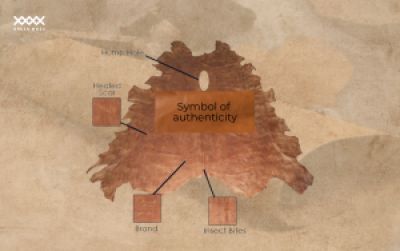 The Technical Map of an Italian Leather Hide &ndash; Understanding the Material to Unlock Its Full Value
