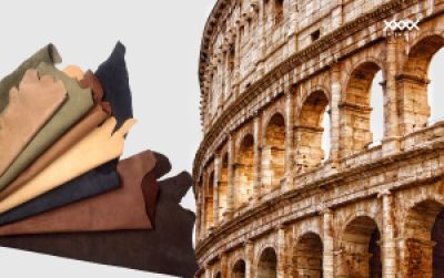 Leather Tanning Technologies &ndash; From Traditional Methods to Modern Innovations