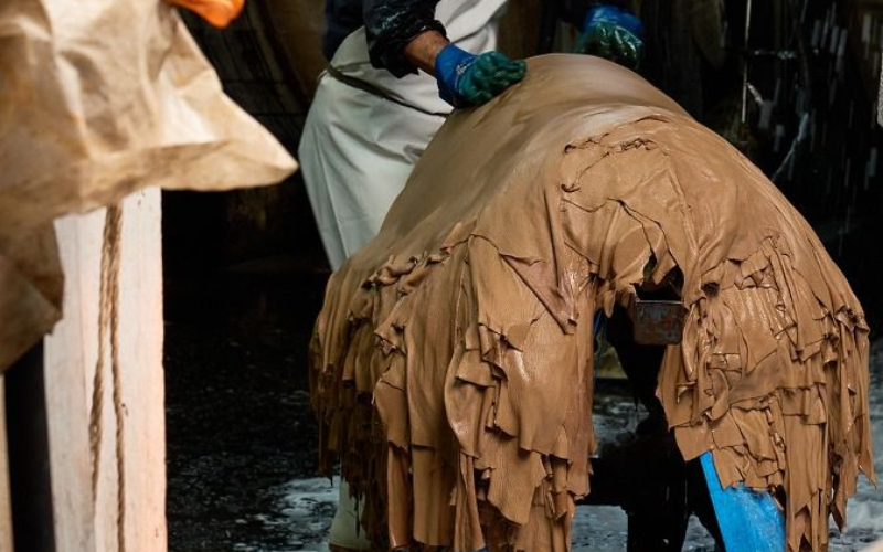 FINAL Anh bai Web 800x500 32