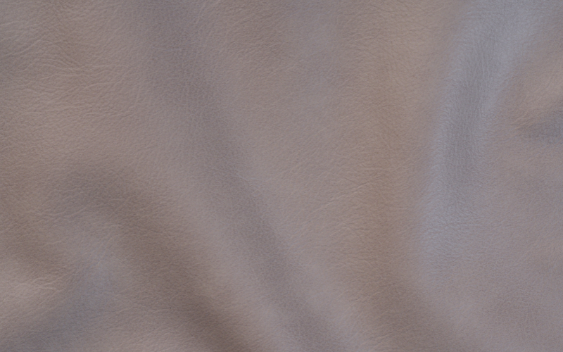 FINAL Anh bai Web 800x500 61