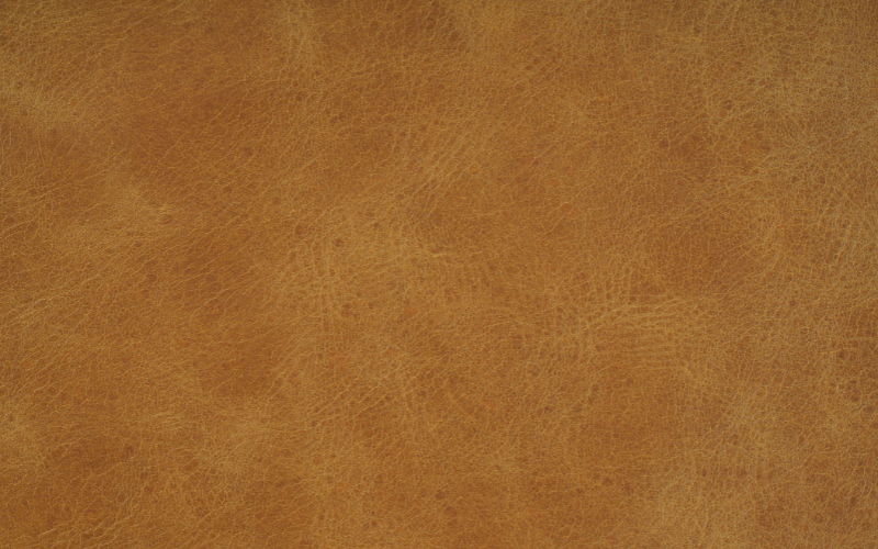 FINAL Anh bai Web 800x500 63