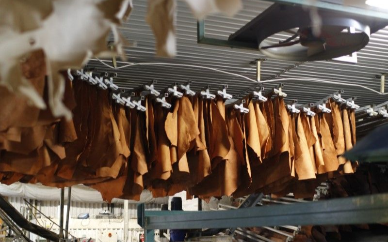 FINAL Anh bai Web 800x500 73