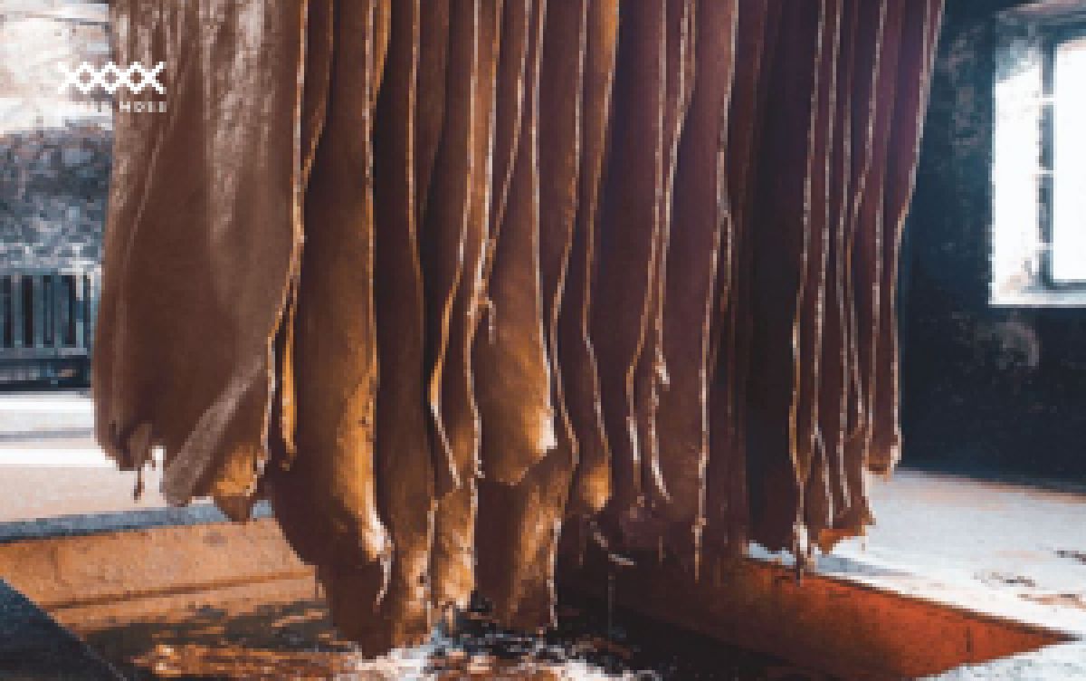 Tannery l&agrave; g&igrave;? Hiểu đ&uacute;ng về nh&agrave; m&aacute;y thuộc da trong ng&agrave;nh nội thất &amp; thời trang cao cấp