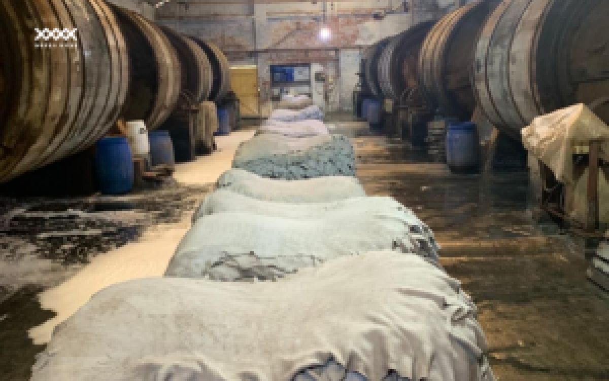 Behind the craft – hậu trường của một tấm da hoàn hảo